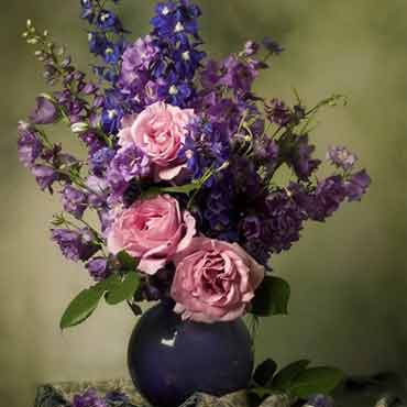 手机攻击器APP下载